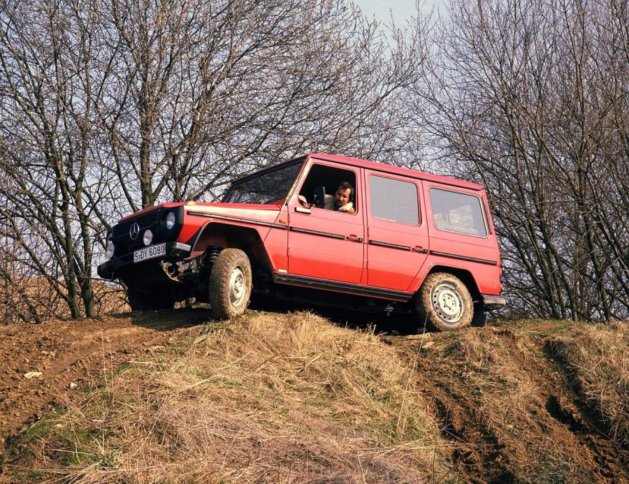 Mercedes-Benz 280 GE Station (Bm.460.331) 1979 года  (фото 18 из 20)